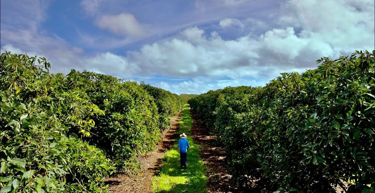 Sustainability: Corteva Agriscience makes this possible